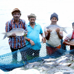 Một hướng phát triển mới của ngành thủy sản ở Ấn Độ